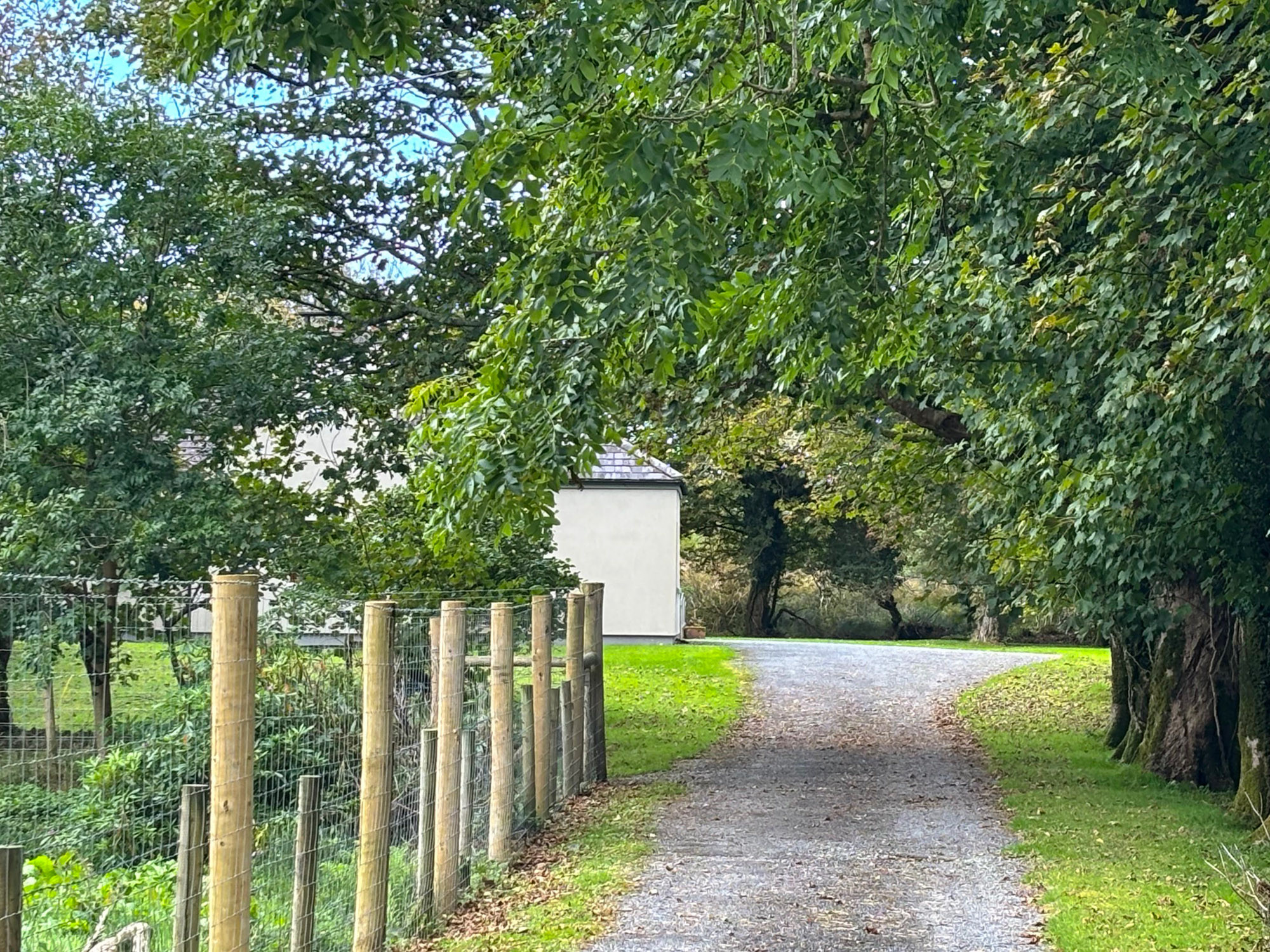 KylemoreWoodlandHolidayCottageRef474