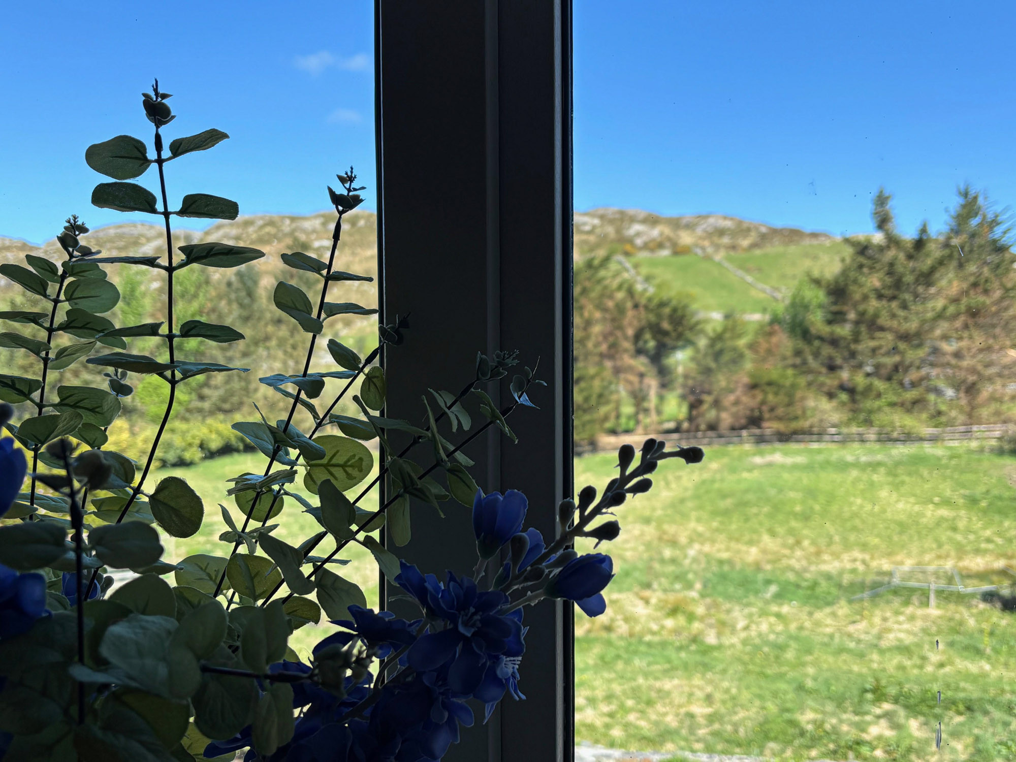 LuxuriousClifdenHolidayHomeRef490-16